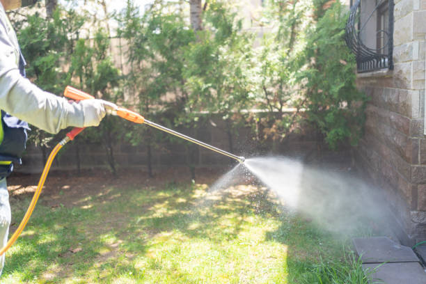 Best Bee and Wasp Removal  in Haverhill, FL